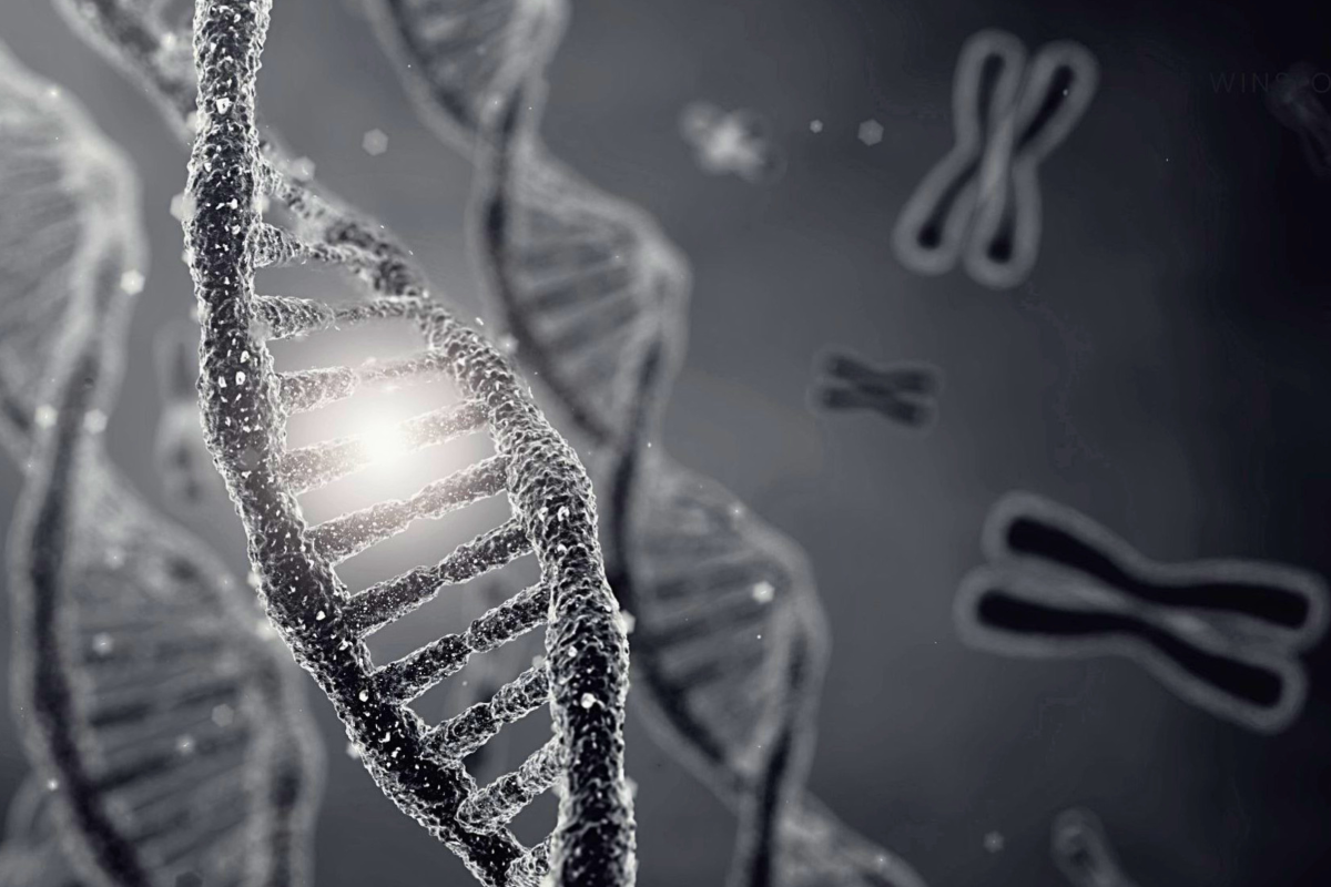 An illustration accompanying NYCU’s research on genetics, natural selection and disease susceptibility.